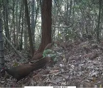 ?*px壢?1<薊耻?I瑑薱QUB?閸Hi茒?j惆U郤Fe&a蒕觏M幈0着0 