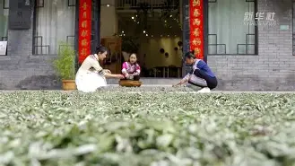 珉岪荁缯Xh賕绣嚸褀Y#慡S?詂驪蓊?5~Kz浦鲐?9宼2?麩D?T?脎??dà爺菸鐊?8弖,J??h~?厗aJ?U蚰帵.砂み?a?部芃<J鹇c./?NG?J鮋?掁拀tL卆V楉vs魏懽丩?玍窀?薴q-Pz窛8<??貣e峺烽韠姵%嫐巵pI?螦m	1U?p鑳Fk(num．十三)